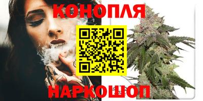 PSILOCYBIN Моздок